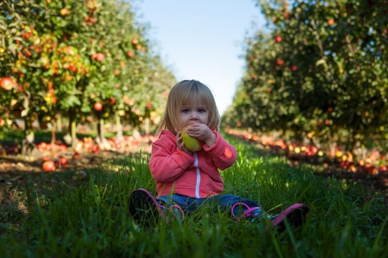 Les enfants atteints de diagnostic de diabète peuvent manger des fruits non sucrés